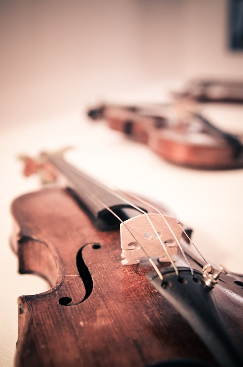 String Quartet Image